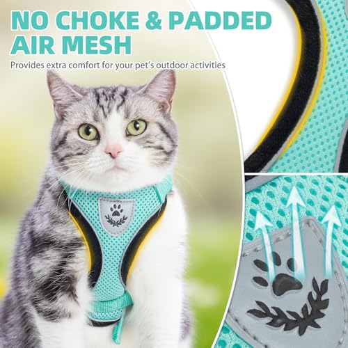 Cat Harness and Leash Set Escape Proof Reflective Cat Walking Harness Adjustable Soft Breathable Mesh Vest for Small Pets (L (NECK 14"-18", CHEST 18"-26.5") / Aquamarine)