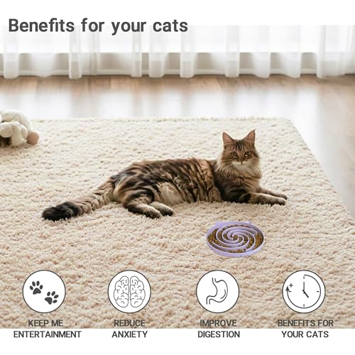 Slow Feeder Cat Bowl (Purple and White)