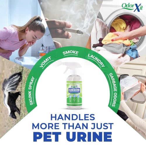 Pet Urine Odor Eliminator Spray (16 Fl Oz Ready to Use Spray)
