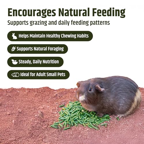 Timothy Hay Pellets for Rabbits (1.94 Pound (Pack of 1))