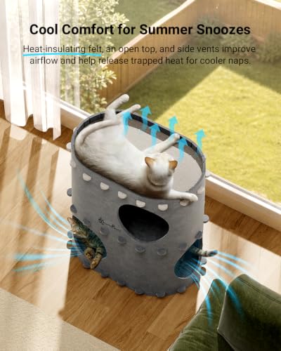 Cat House for Indoor Cats