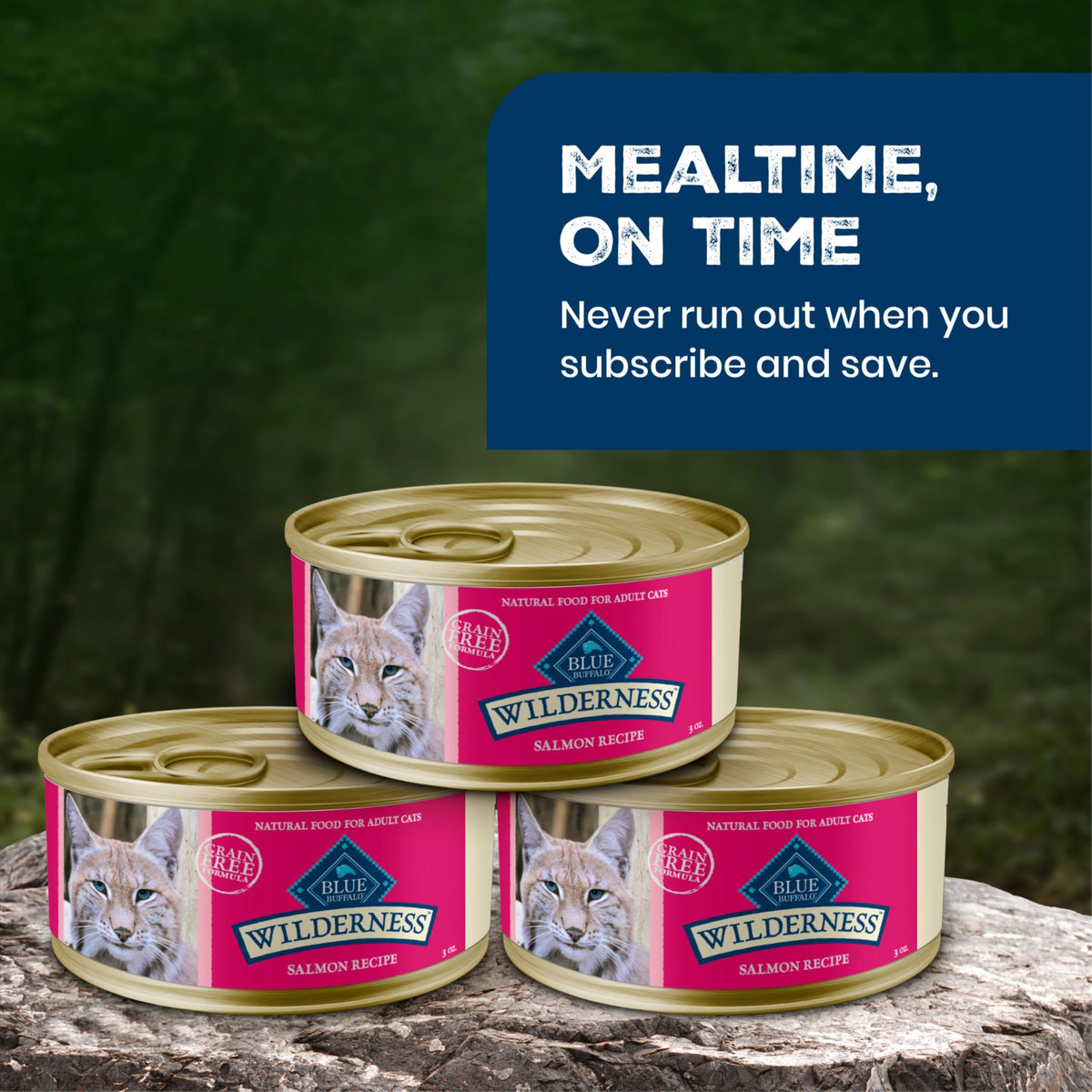 Wilderness Salmon Paté Adult Wet Cat Food