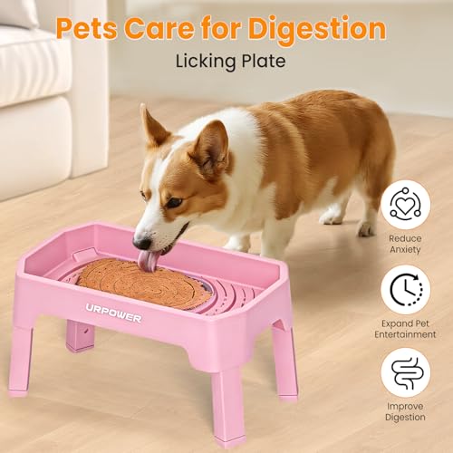 Elevated Dog Bowls (Pink / Large)
