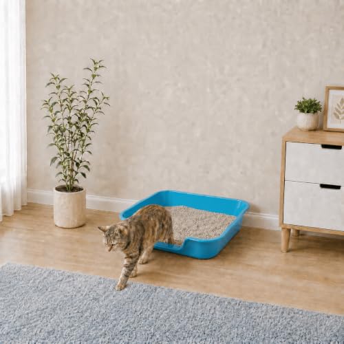 Extra Large Low Entry ABS Cat Litter Box (Large (Pack of 1) / Light Blue)