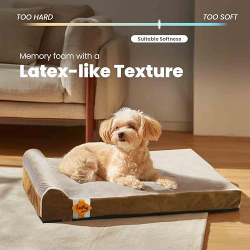 Orthopedic Dog Bed (34.0"L x 22.0"W x 5.5"Th / Brown)
