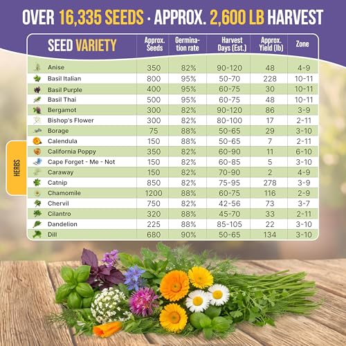 35 Medicinal & Tea Herb Seeds Variety Pack for Indoor & Outdoors. 16