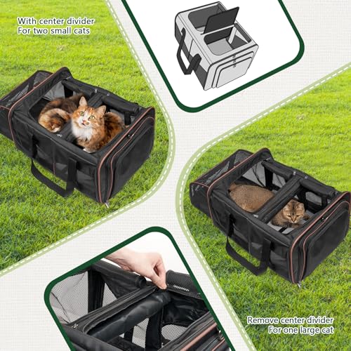 Expandable Cat Carrier for 2 Cats (Black)