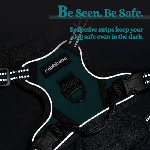 Dog Harness No Pull for Small Dogs with 2 Leash Clips (X-Small / Blue Coral)