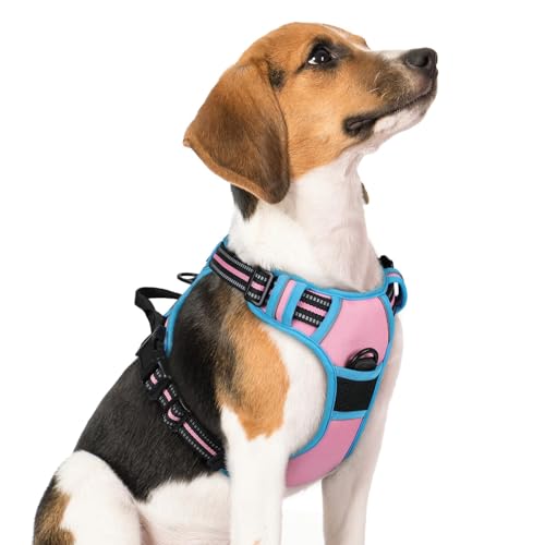 Dog Harness No Pull Medium Sized with 2 Leash Clips (Medium / Pink & Blue)