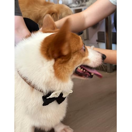 10 PCS Dog Bow Ties (Medium)