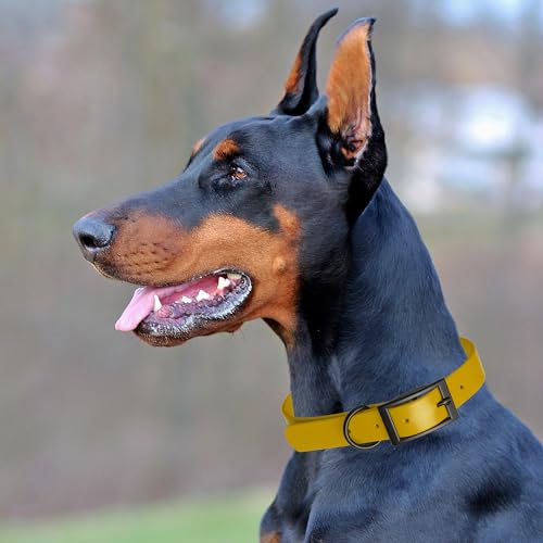 Biothane Waterproof Dog Collar Strong Coated Nylon Webbing with Black Hardware Odor