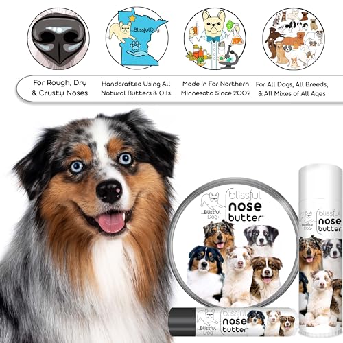 Australian Shepherd Nose Butter for Dry (Australian Shepherd / 2 Ounce)
