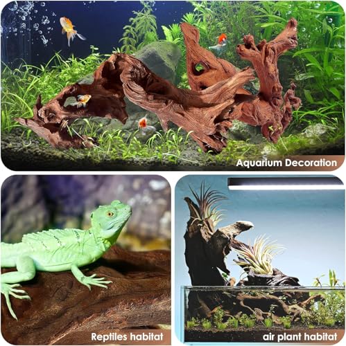 Natural Small Aquarium Driftwood for Fish Tank Reptile Decor (Mopani Driftwood 4 to 8 Inch (Pack of 5))