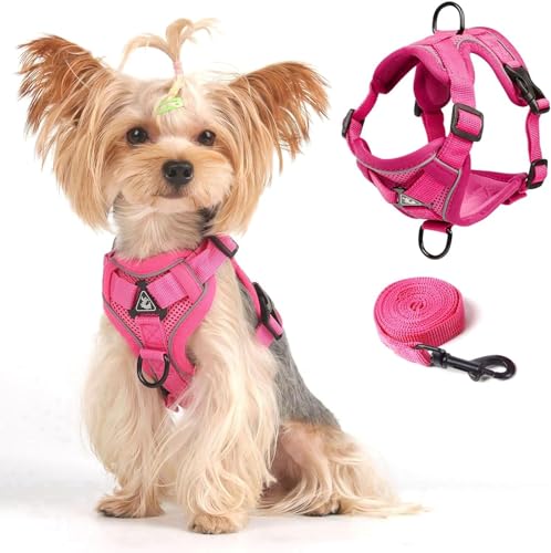 Cat Harness and Leash Set (Pink / M)