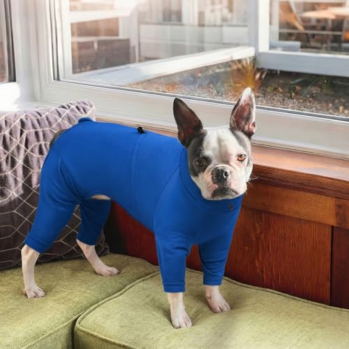 Recovery Suit for Medium Dogs (Blue / M)