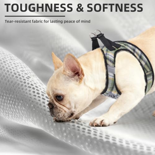 Dog Harness Collar and Leash Set No Pull for Small Medium Sized (Yellow Green / XS (CHEST 13"-14.5"))