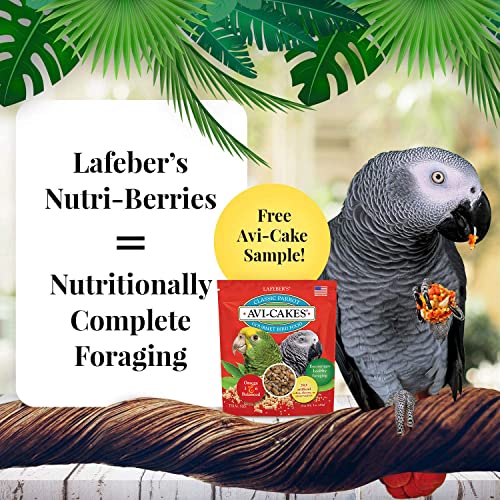 Nutri Berries Pet Bird Food 4 Pack Bundle