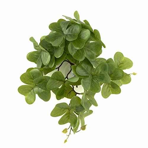 Fake Shamrock (Fake Shamrock)