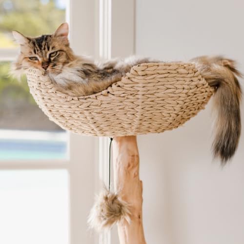 Mau Modern Wood Cat Tree Tower with Scratching Post (Brown)