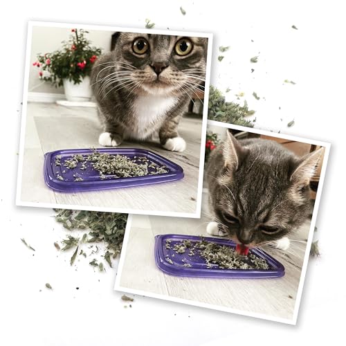 Meowi Waui Catnip Blend