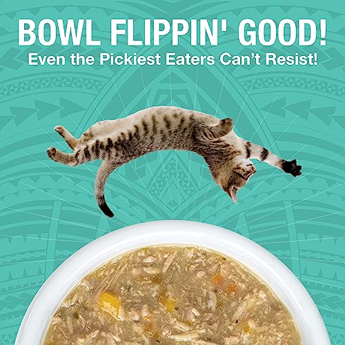 Pure Shreds Duck Entrée for Cats (2.8 Ounce (Pack of 24))