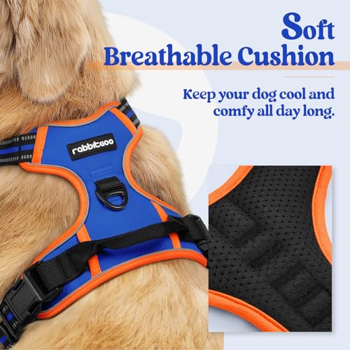 Dog Harness No Pull for Small Dogs with 2 Leash Clips (Small / Blue & Orange)