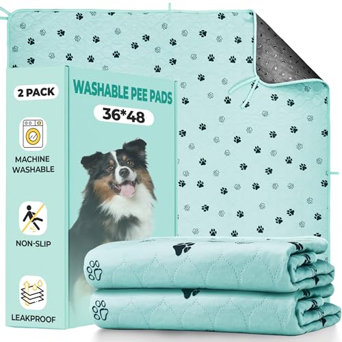 Washable Pee Pads for Dogs (Green / 36*48 Inch (Pack of 2))