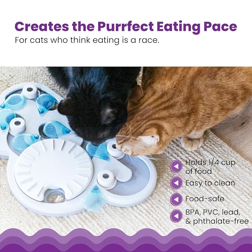 Nina Ottosson Rainy Day Puzzle & Play Cat Toy Treat Puzzle