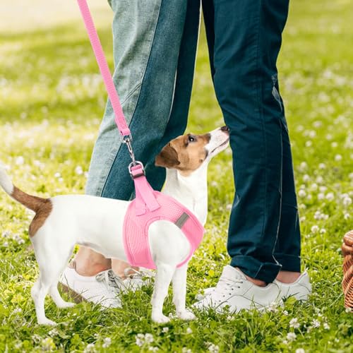 Dog Harness Collar and Leash Set No Pull for Small Medium Sized (Solid LightPink / M (CHEST 16"-18"))