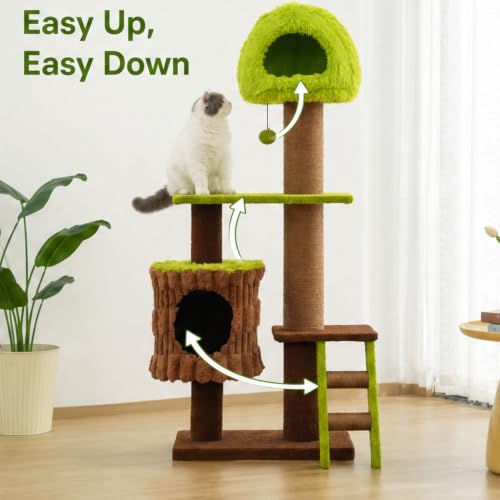 60in Heavy‑Duty Forest Cat Tree for Indoor Cats (Green / 60 inches)