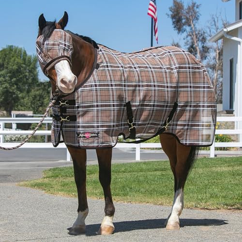 Kensington Fly Mask Web Trim (M (Small Horse))