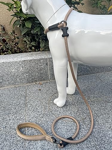 Slip Lead Dog Leash (1/2"×6ft / Light Military Tan)