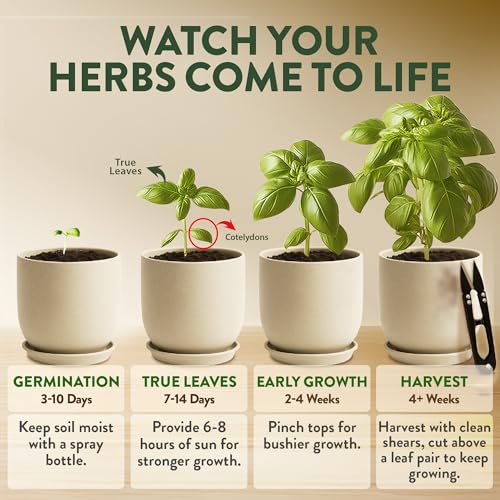 Organic 4 Herb Indoor Garden Kit