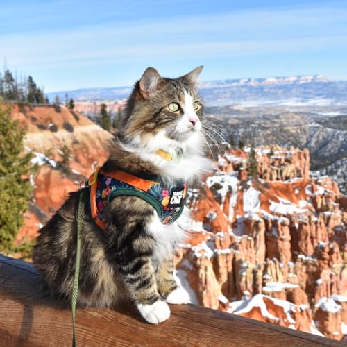 Travel Cat Harness and Leash Set (X-Small / Hawaiian)