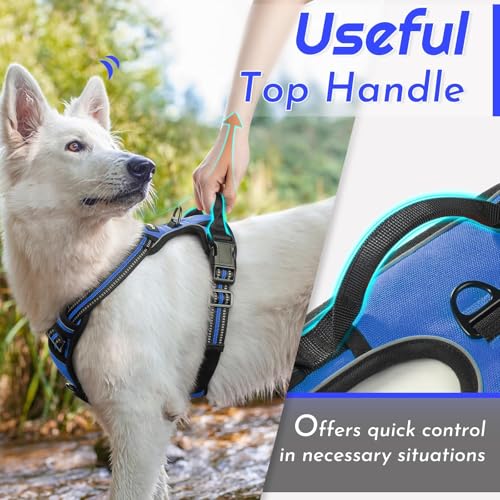 Dog Harness for Small Dogs (Small / Blue)