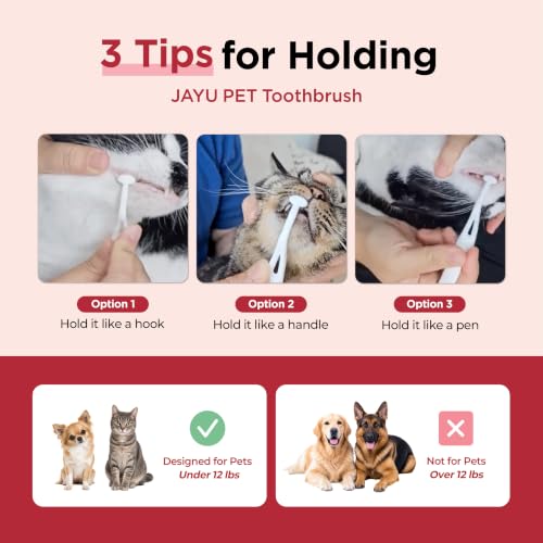 Dental Care Brush (Firm Bristles / 1 Count (Pack of 3))