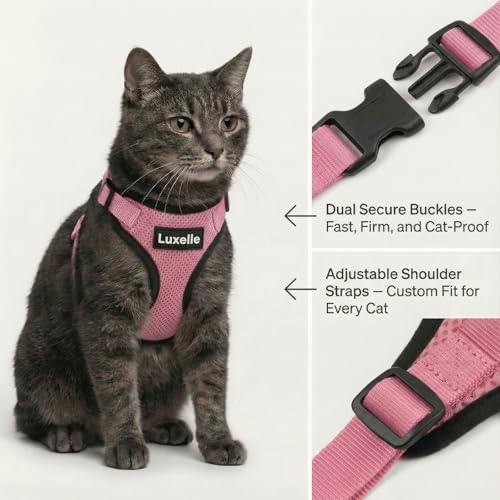 2 Pack Escape (Pink / M)