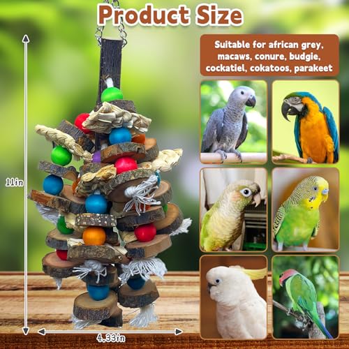 Bird Toys Parrot Toys (E: Fruit Wood)