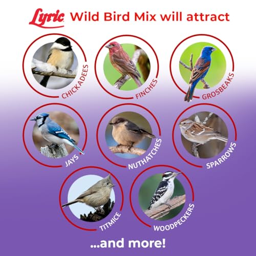 Wild Bird Seed Mix