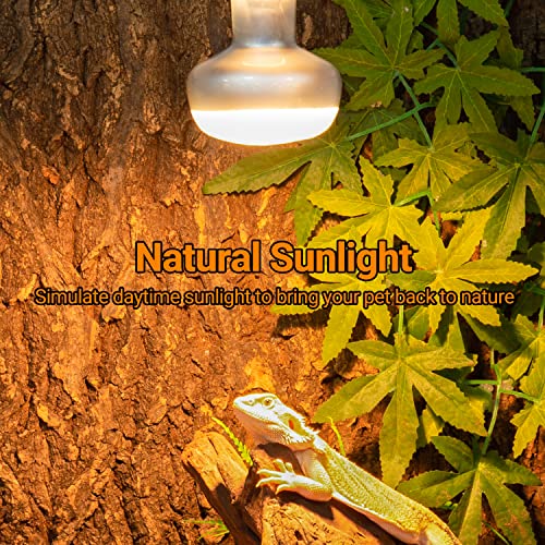 2 Pack Heat Lamp 100W (Natural Basking Light Bulb)