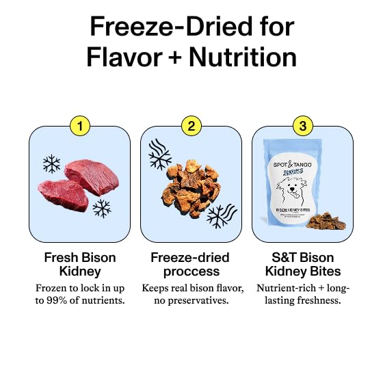 Bison Kidney Bites Dog Treats
