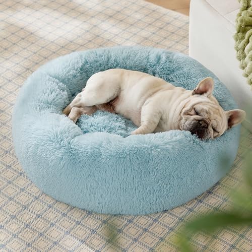 Calming Dog Bed Medium Size Dog Donut Washable Pet Bed (30"L x 30"W x 8"Th / Aqua Blue)