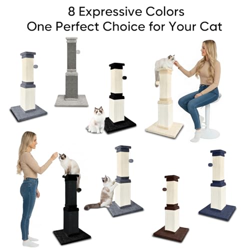 Cat Scratching Post for Indoor Cats (Black and White)