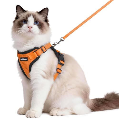 Cat Harness and Leash Set (M / Orange)
