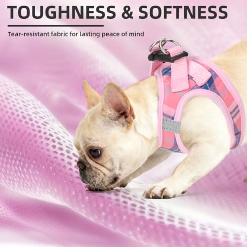 Dog Harness Collar and Leash Set No Pull for Small Medium Sized (Pink / XL (CHEST 20"-22"))
