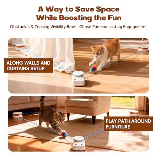 Interactive Cat Toy for Indoor Cat (H1K2)