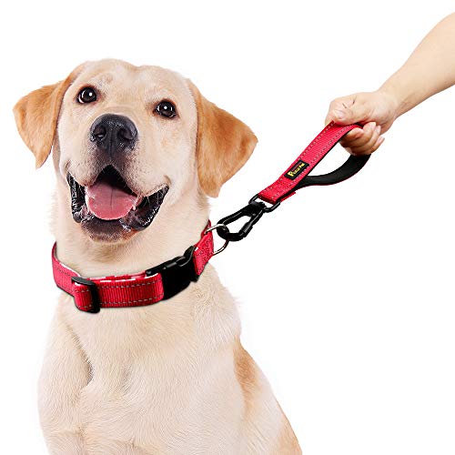 10” Short Dog Leash (Red / 10 Inch (Pack of 1))