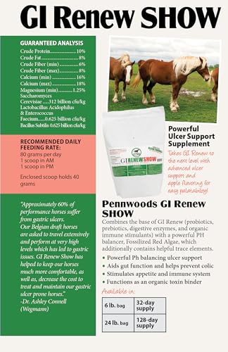 Horse Gut Supplement Ulcer Support Apple Flavor 6lb