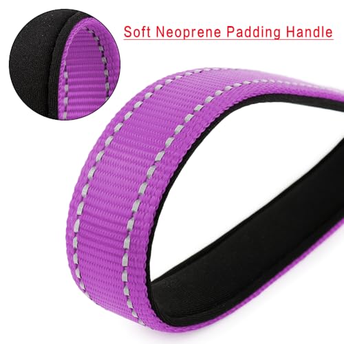 10” Short Dog Leash (Purple / 10 Inch (Pack of 1))