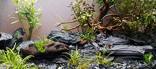 Natural Slate Stone 5 to 7 Inches (10 lbs)